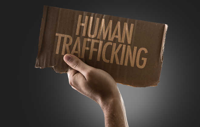 Law against human trafficking ineffective: NAPA